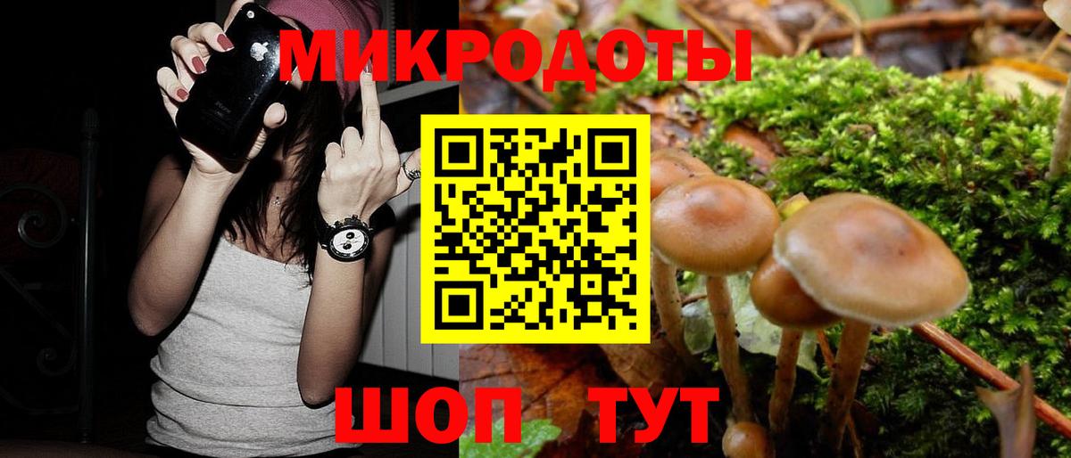 Галлюциногенные грибы прущие грибы Белая Калитва
